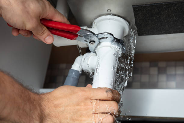 Best Water damage cleanup near me  in Hawaiian Beaches, HI