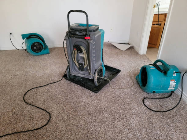 Best Water damage restoration near me  in Hawaiian Beaches, HI