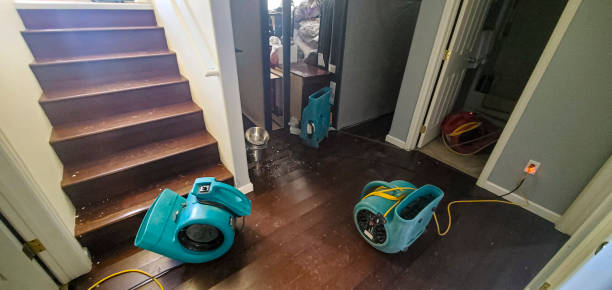 Best Fire Damage Restoration  in Hawaiian Beaches, HI