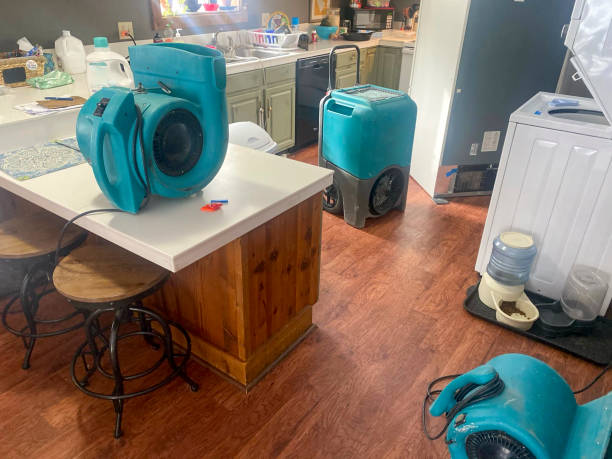 Best Mold removal after water damage  in Hawaiian Beaches, HI