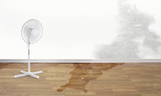 Best Emergency water damage restoration  in Hawaiian Beaches, HI