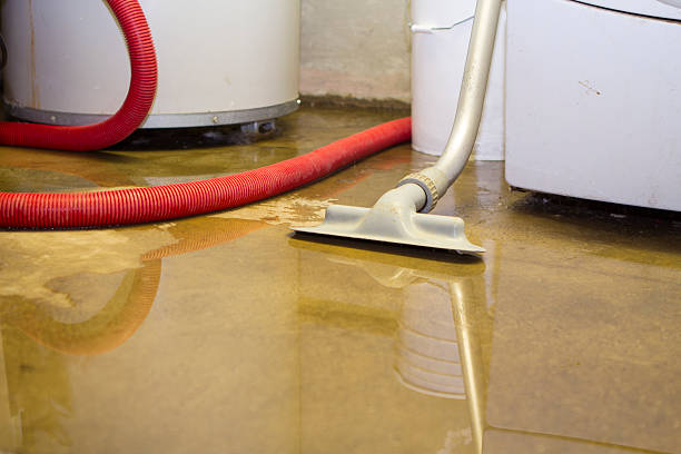 Best Flood damage cleanup  in Hawaiian Beaches, HI
