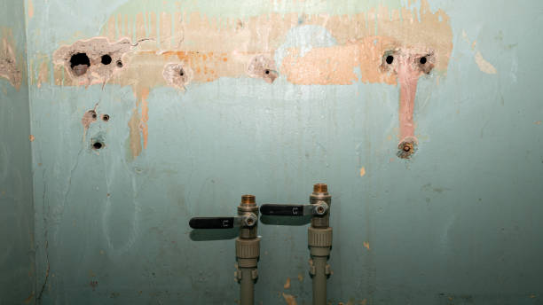 Best Emergency water damage restoration  in Hawaiian Beaches, HI