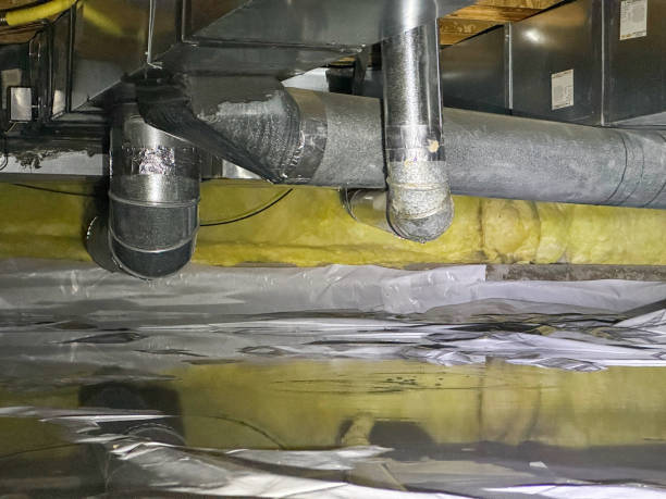 Best Carpet water damage restoration  in Hawaiian Beaches, HI