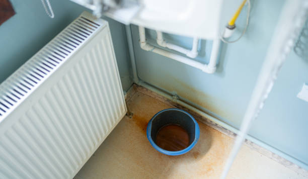 Best Local water damage restoration  in Hawaiian Beaches, HI